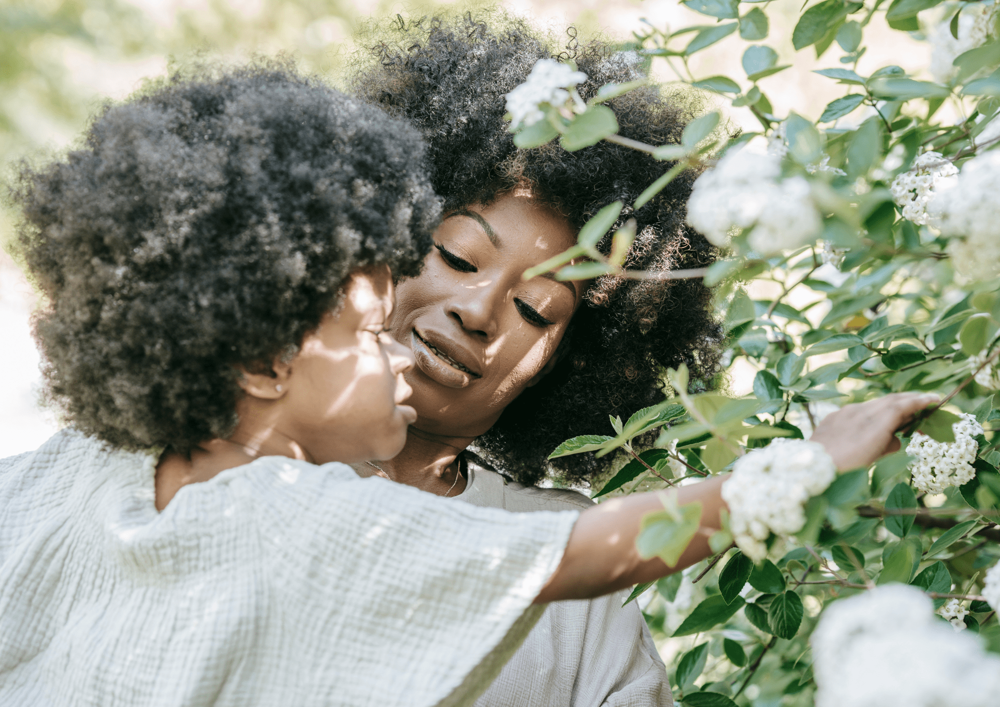 Soin cheveux crépus secs et cassants : 4 recettes naturelles